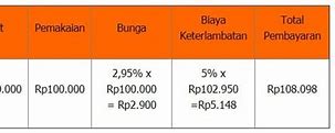 Biaya Keterlambatan Shopee Paylater 2 Hari